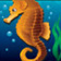 Seahorse