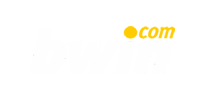 Bwin Logo