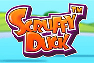 Scruffy Duck