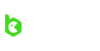 BC.game Logo